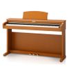 Đàn piano điện Kawai CN22C