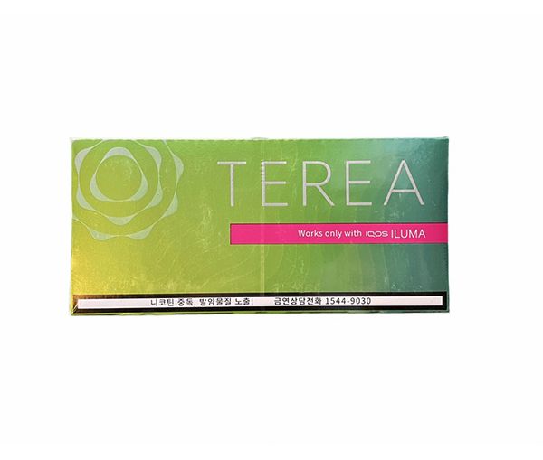 Terea Greenzing ( Hàn) - Vị Táo bạc hà