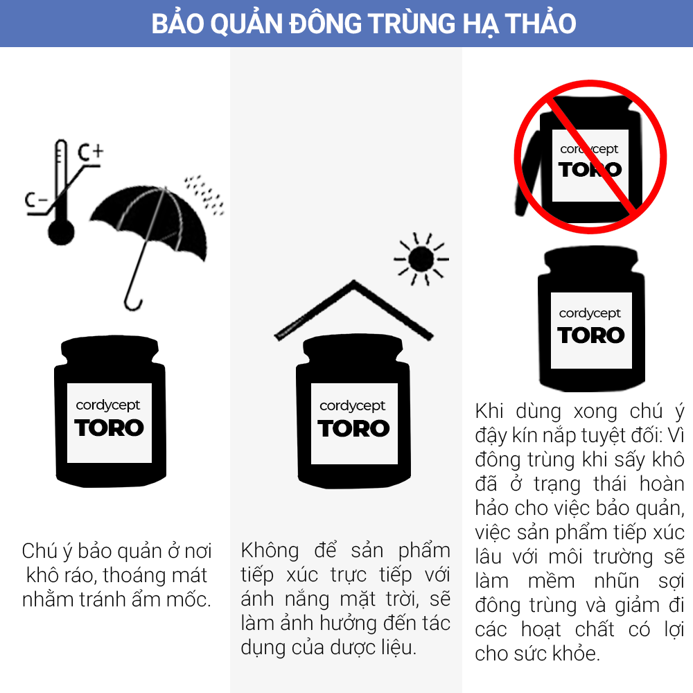 Đông trùng hạ thảo Toro - Sấy thăng hoa nguyên sợi - Hũ 10g