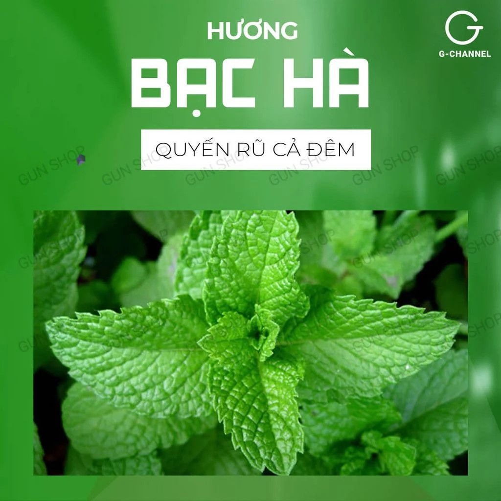 Bao cao su OKHQ hương bạc hà - Hộp 144 cái