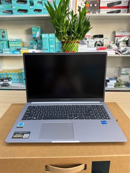 Máy tính xách tay Asus P1503CVA i5-13500H/16GB/5 12GB SSD/UMA/15.6