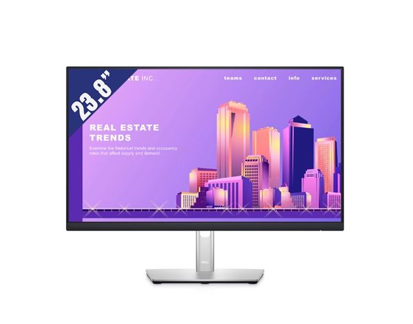 Màn hình LCD Dell 24 inch P2422H (23.8