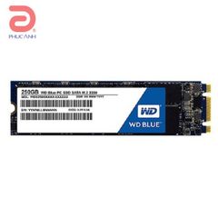 Ổ cứng SSD 250GB Western Blue M2 PCie