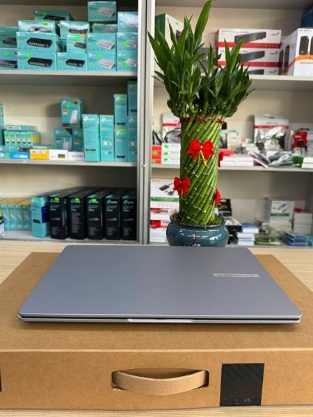 Máy tính xách tay Asus P1503CVA i5-13500H/16GB/5 12GB SSD/UMA/15.6