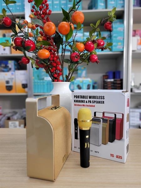 Loa Karaoke YS A35 + 1 mic