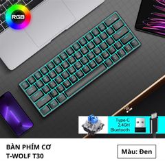 Bàn phím cơ Bluetooth T-Wolf T30 - Màu đen (63 phím, Blue Switch, Led, pin sạc, Kết nối: USB Type-C / Bluetooth 5.0 / 2.4GHz Wireless)