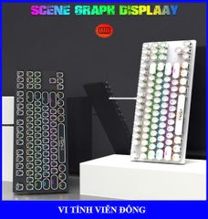 Bàn phím cơ T-Wolf T12 - Màu trắng (87 nút tròn, Blue Switch, Led, USB)