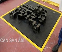 Cân sàn điện tử 1000kg x 0.5kg _ DS-166SS (1m3 x 1m3)