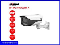 Camera IP 2MP DAHUA DH-IPC- HFW1230M - A - VN ( Tầm xa hồng ngoại 80m, tích hợp Mic, POE ) - (IME)