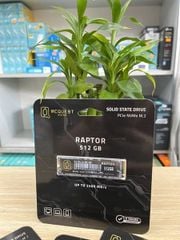 Ổ cứng SSD RAPTOR M.2 NVME 3.0 512GB