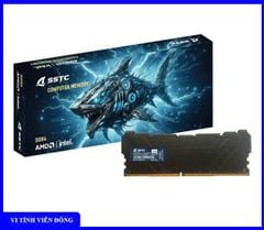 Ram PC DDR4 16GB - 3200 C22 SSTC - Tản nhiệt