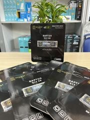 Ổ cứng SSD RAPTOR M.2 NVME 3.0 512GB