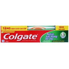 Colgate 충치 예방 치약  250g