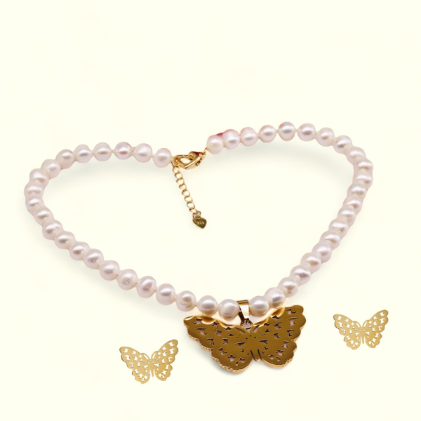  Bộ Ngọc Trai BUTTERFLY LIFE CYCLE SET0012 