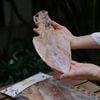 Khô Mực Câu (20 con/kg)