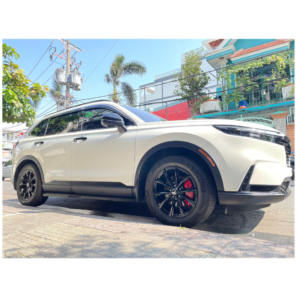 Ốp heo dầu Brembo