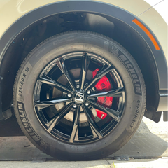 Ốp heo dầu Brembo