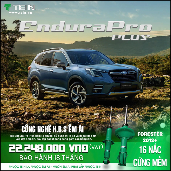 Giảm xóc ô tô Tein Sabaru Legacy 2010+