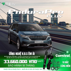 Tein Phuộc giảm xóc Carnival