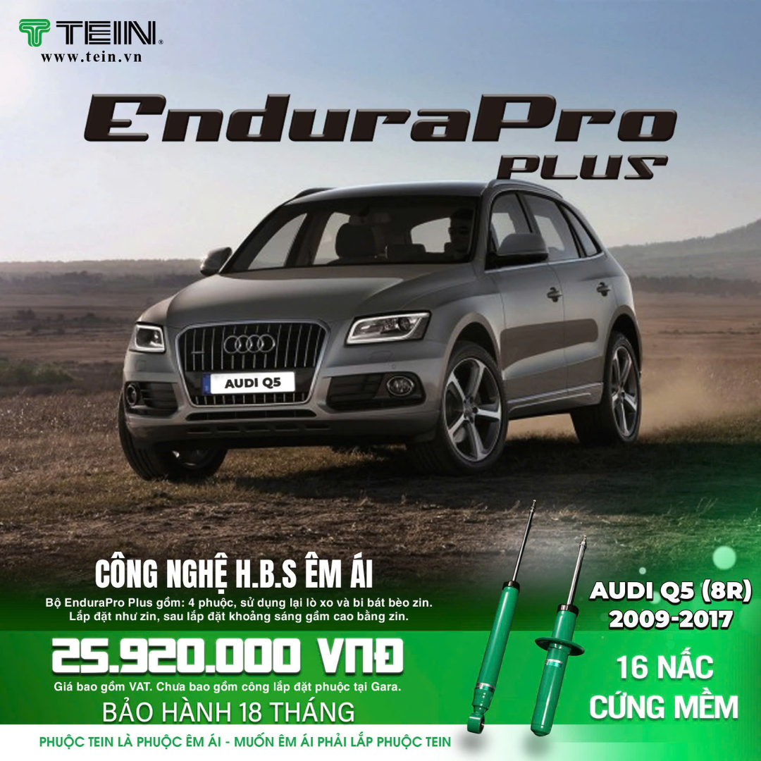 Giảm xóc ô tô Tein AUDI Q5 (8R)	2009-2017