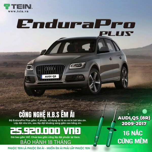 Giảm xóc ô tô Tein AUDI Q5 (8R)	2009-2017