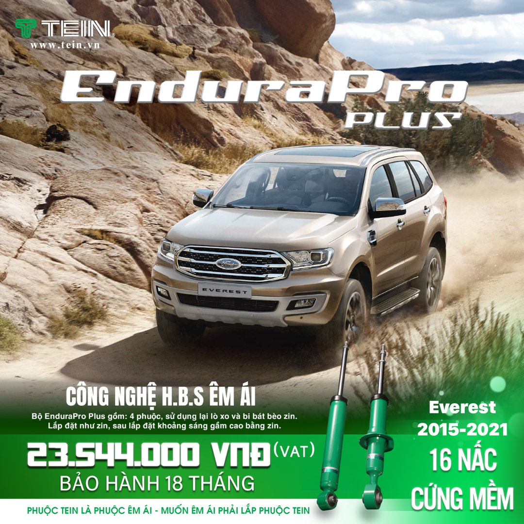 Giảm xóc ô tô Tein FORD EVEREST 2015-2021