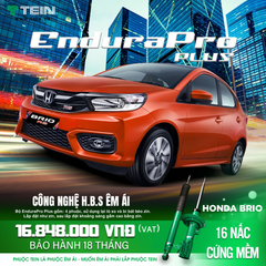 Giảm xóc ô tô Tein Honda Brio 2019+