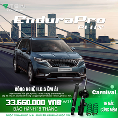 Giảm xóc ô tô Tein KIA CARNIVAL 2022+