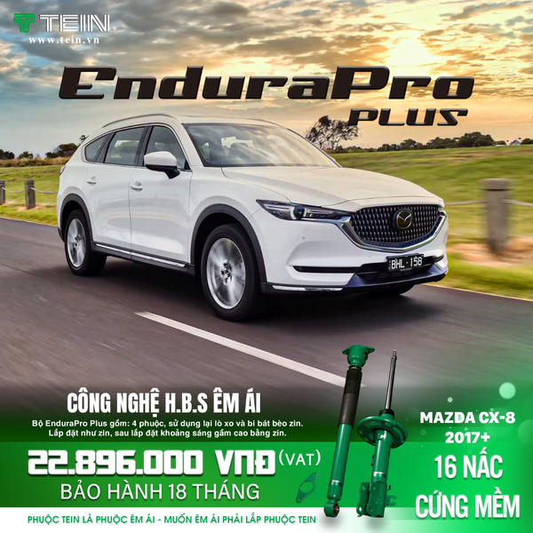 Giảm xóc ô tô Tein Mazda CX-8 2017+