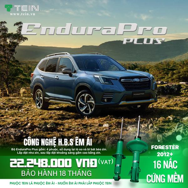 Giảm xóc ô tô Tein Sabaru FORESTER 2012+