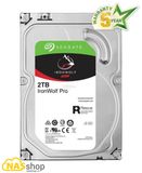  Seagate Ironwolf 2TB Pro 