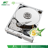  HDD Seagate IronWolf Pro 10TB - ST10000NE0008 