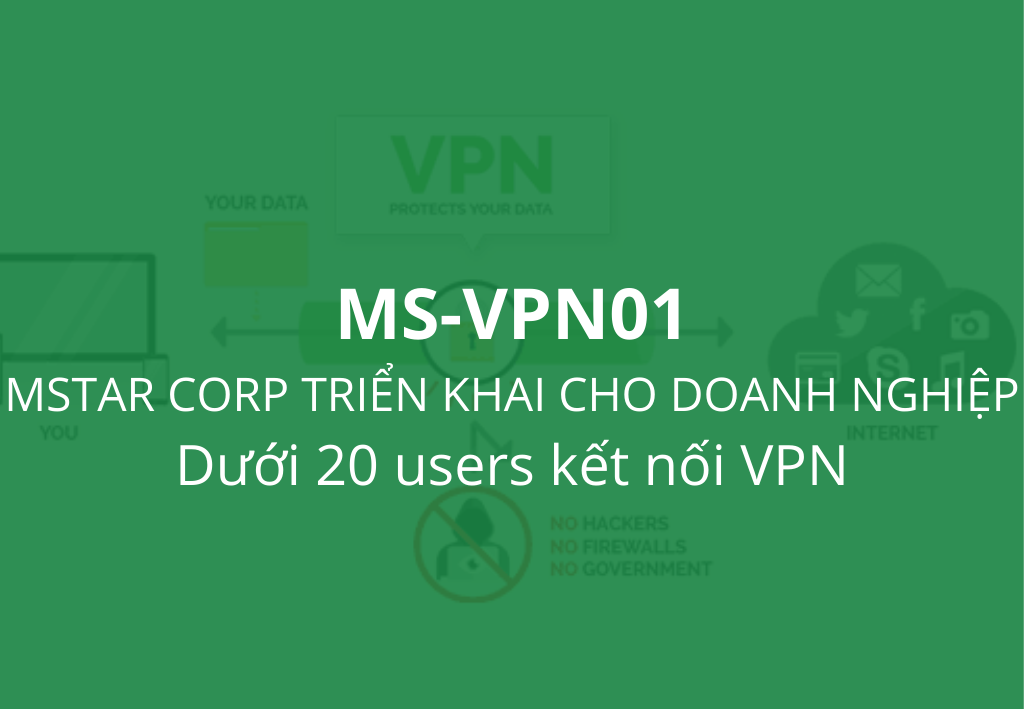  Dịch vụ VPN MS-VPN01 
