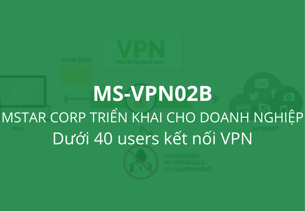  Dịch vụ VPN MS-VPN02B 