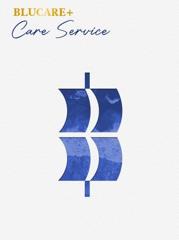 Care Service