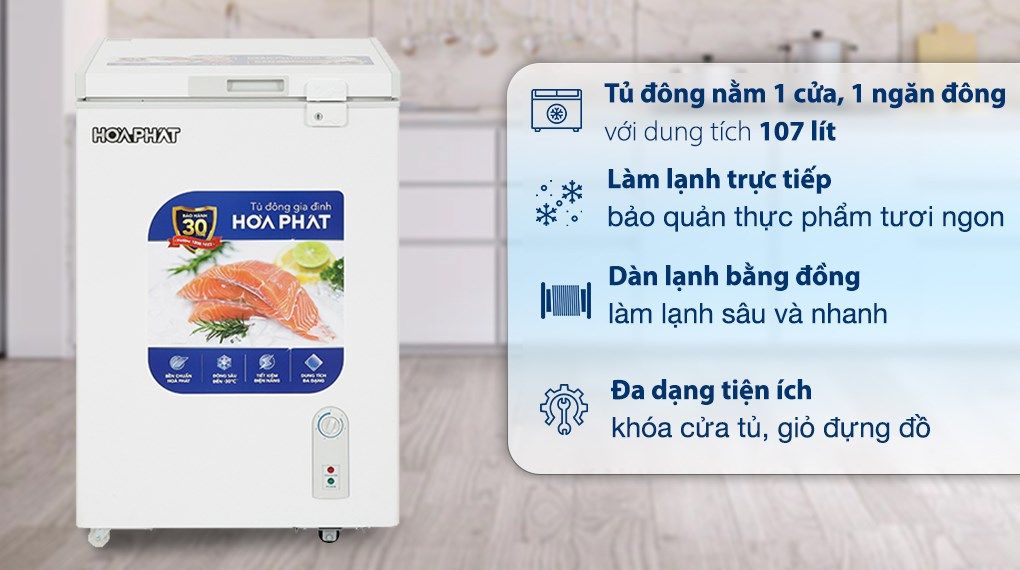 Tủ đông Hòa Phát 107 Lít HPF AD6107