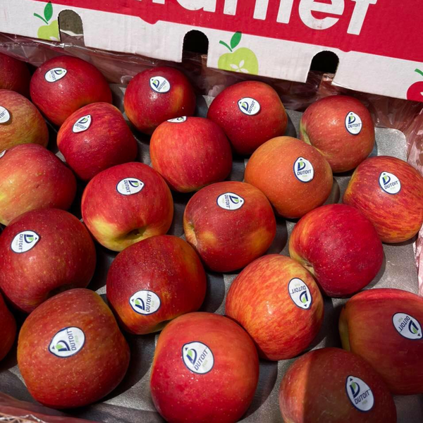 South Africa Marlet Fuji apples