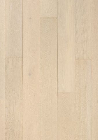 POPLA EUROPEAN WHITE OAK