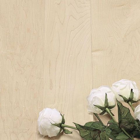 Sàn gỗ Maple