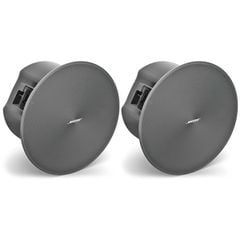 Loa Bose DesignMax DM6C