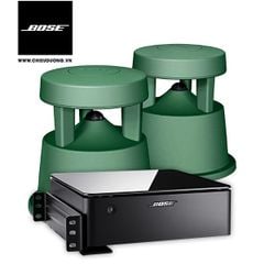 Dàn âm thanh Bose SP008205: Loa môi trường Bose Free Space 51 và Thiết bị khuyếch đại âm tần Bose Music Amplifier