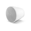 Loa treo trần Bose DesignMax DM10P SUB