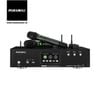 Dàn Karaoke SP009258: 1 cặp Loa Bose 802 series V, Ampli tích hợp micro không dây Paramax Euro A700, Bose SUB1 Bass Module