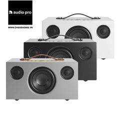 Loa Audio Pro C5 MKII
