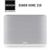 Loa Bluetooth Denon Home 250