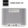 Loa Bluetooth Denon Home 250