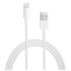 Cáp Apple Lightning to USB (1M) Apple VN