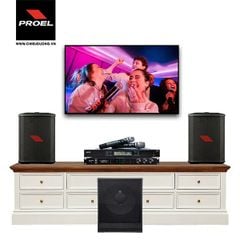 Bộ dàn Karaoke SP009289: 2 Loa PROEL FreeOneX, Loa Sub PROEL S12A, Vang số LSPRO K-600, Micro không dây LSPro L330
