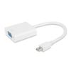 Cáp Mini DisplayPort to VGA Adapter