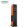 Loa Paramax D88 Limited